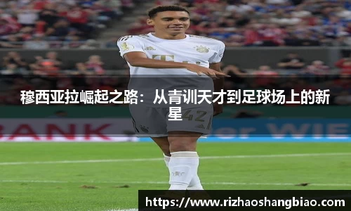 星空·综合体育中国官方网站